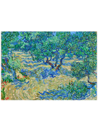 Van Gogh Olive Orchard - Art Print