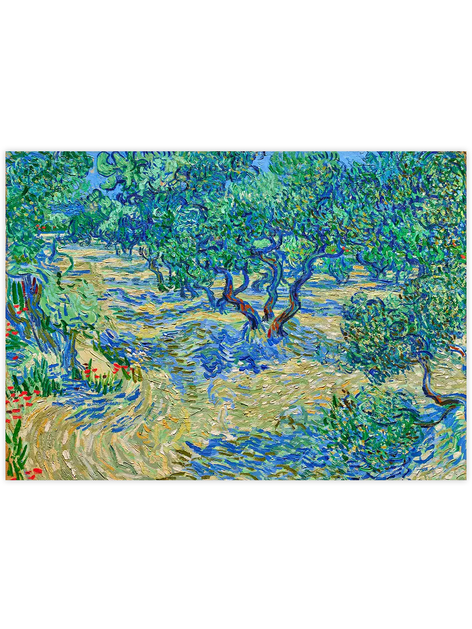 Van Gogh Olive Orchard - Art Print Ünlü Ressamlar Poster