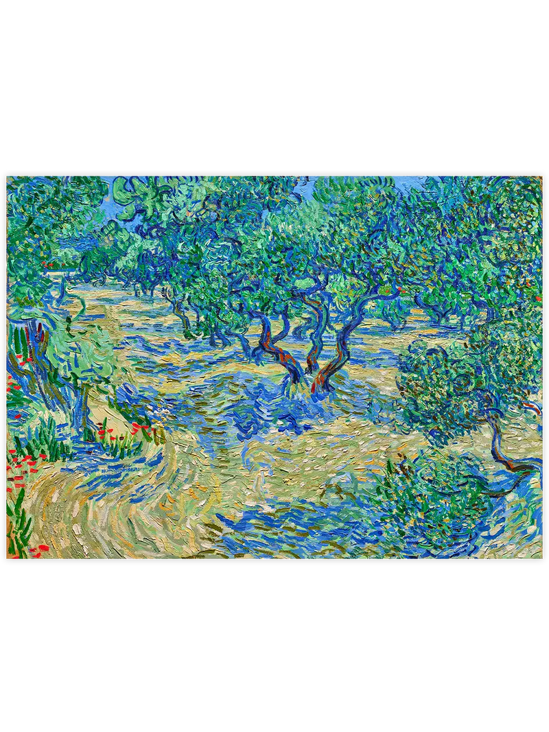 Van Gogh Olive Orchard - Art Print Ünlü Ressamlar Poster