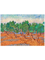 Van Gogh Olive Trees - Art Print