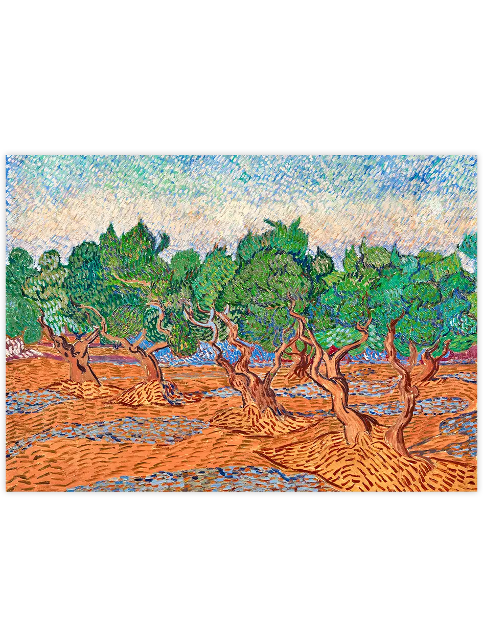 Van Gogh Olive Trees - Art Print Ünlü Ressamlar Poster