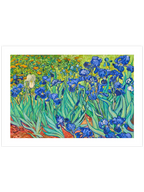 Van Gogh Irises - Art Print