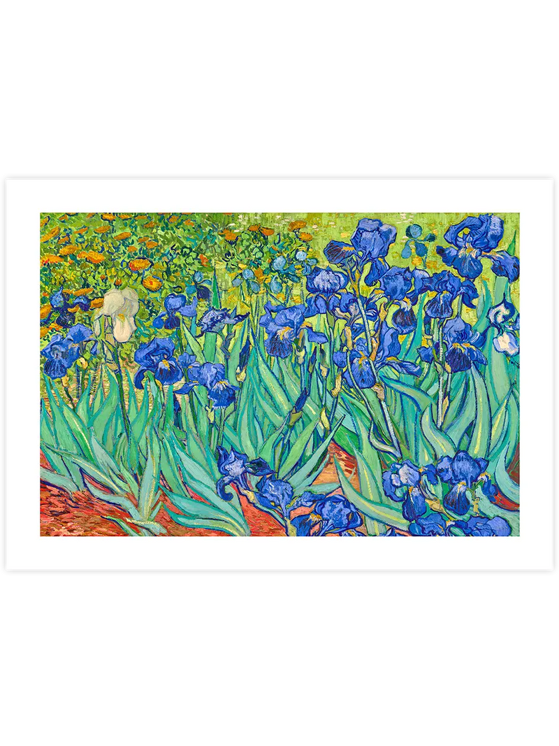 Van Gogh Irises - Art Print Ünlü Ressamlar Poster