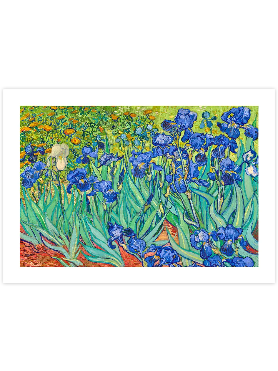 Van Gogh Irises - Art Print Ürün ana görseli
