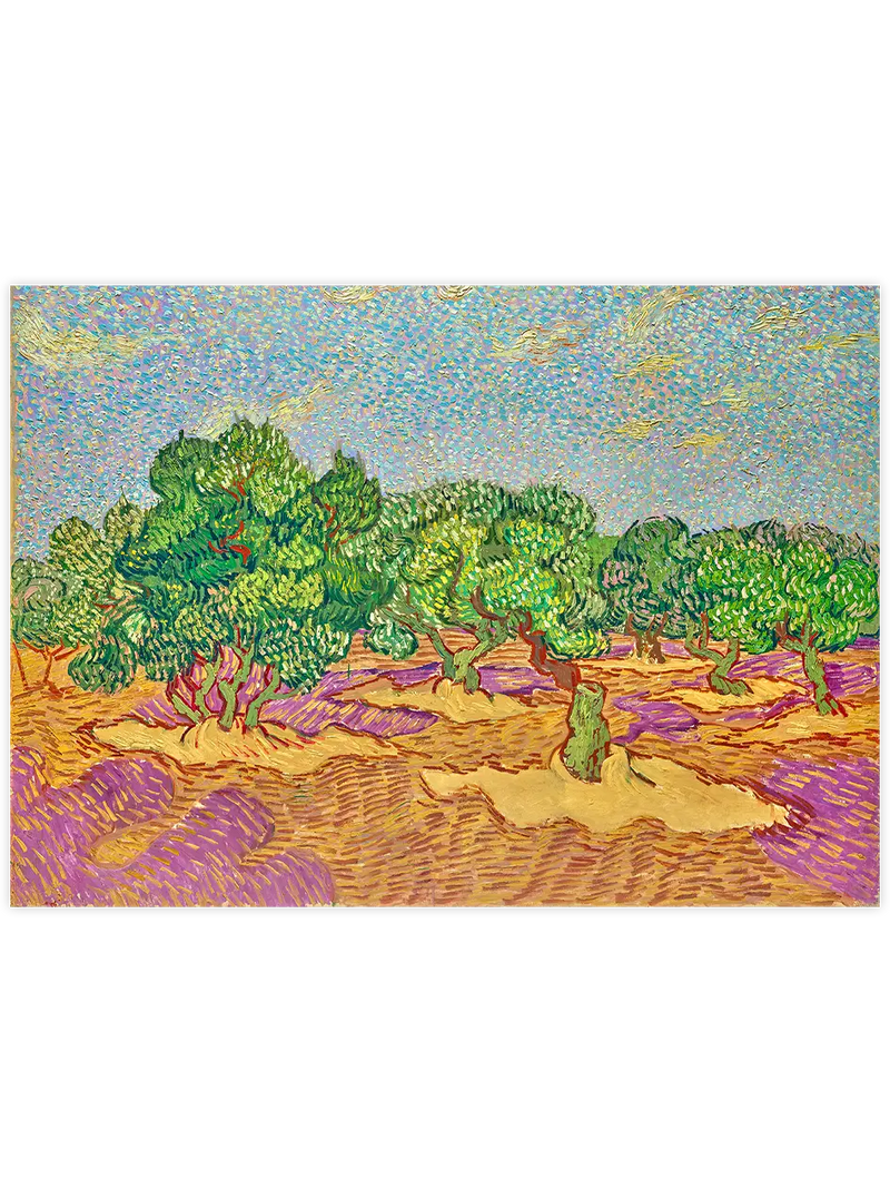 Van Gogh Olive Grove - Art Print Ünlü Ressamlar Poster