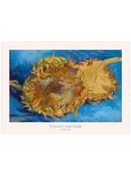 Van Gogh Sunflowers (Ayçiçekleri) - Art Print