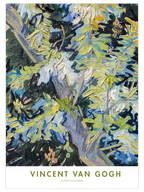 Van Gogh Acacia in Flowers - Art Print