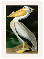 Vintage Pelikan - Art Print