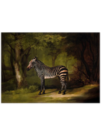 Vintage Zebra - Art Print