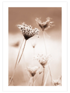 A Sweet Morning - Art Print