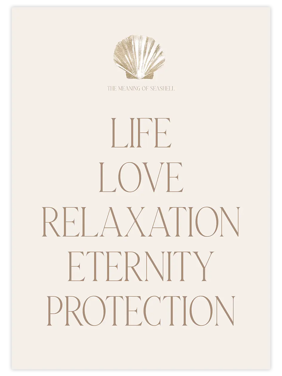 The Meaning of Seashell - Art Print Ürün ana görseli