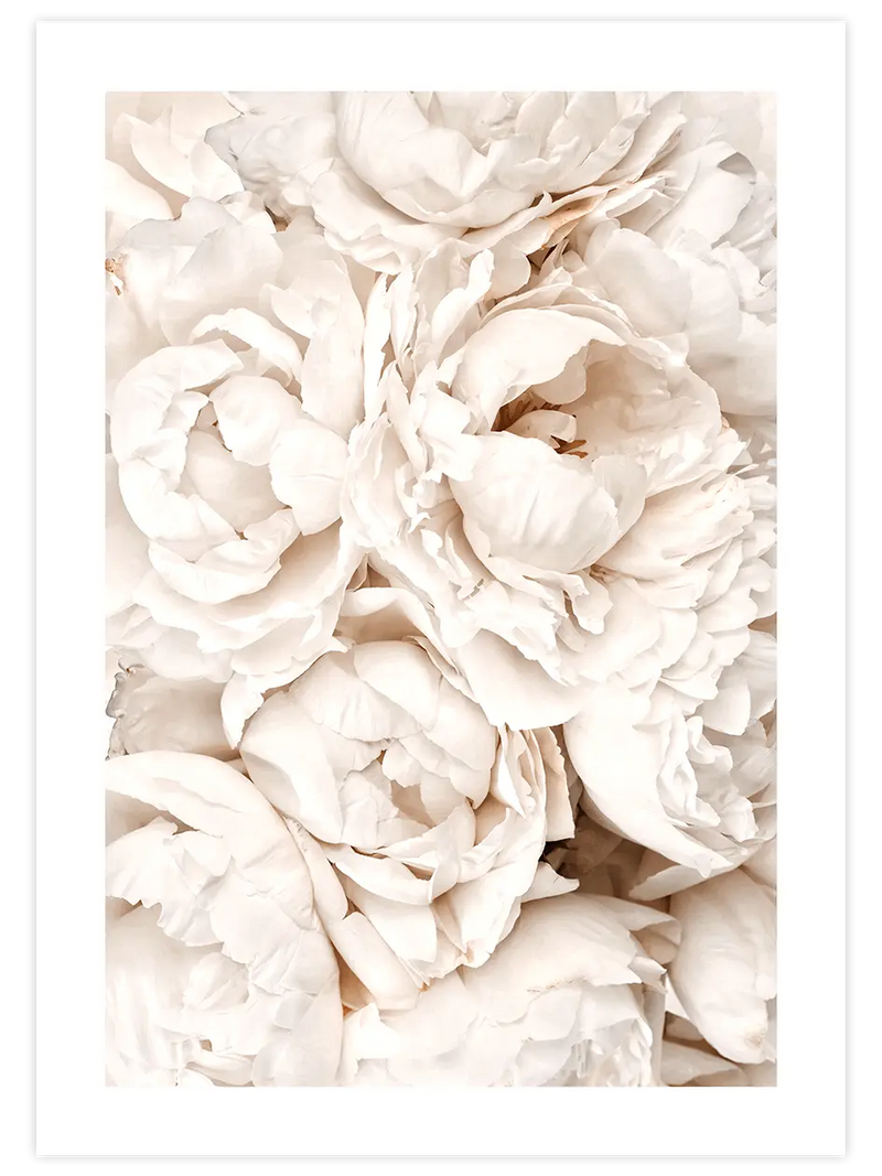 Beige Ensemble - Art Print Fotoğraflar Poster
