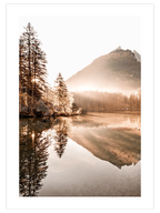 Golden Morning N2 - Art Print