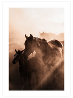 Anne At ve Tay - Art Print