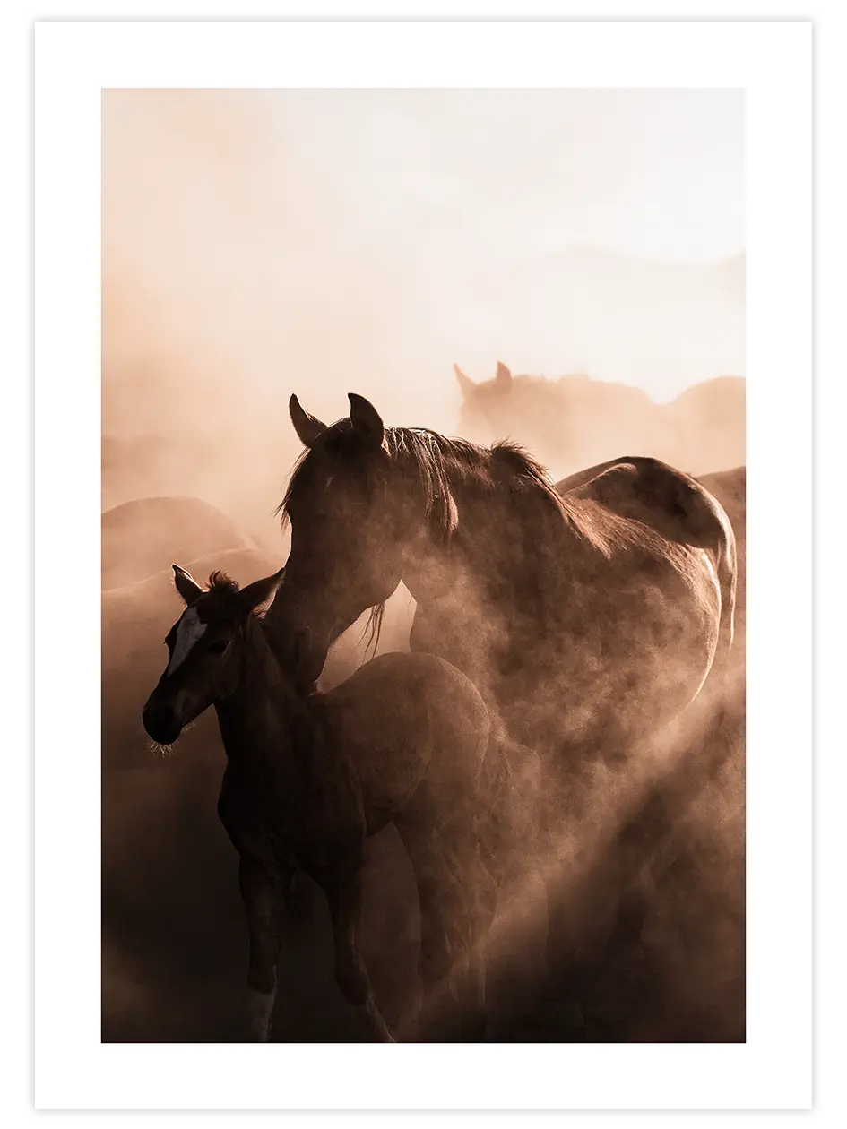 Anne At ve Tay - Art Print Ürün ana görseli