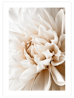 Art in Flower - Art Print
