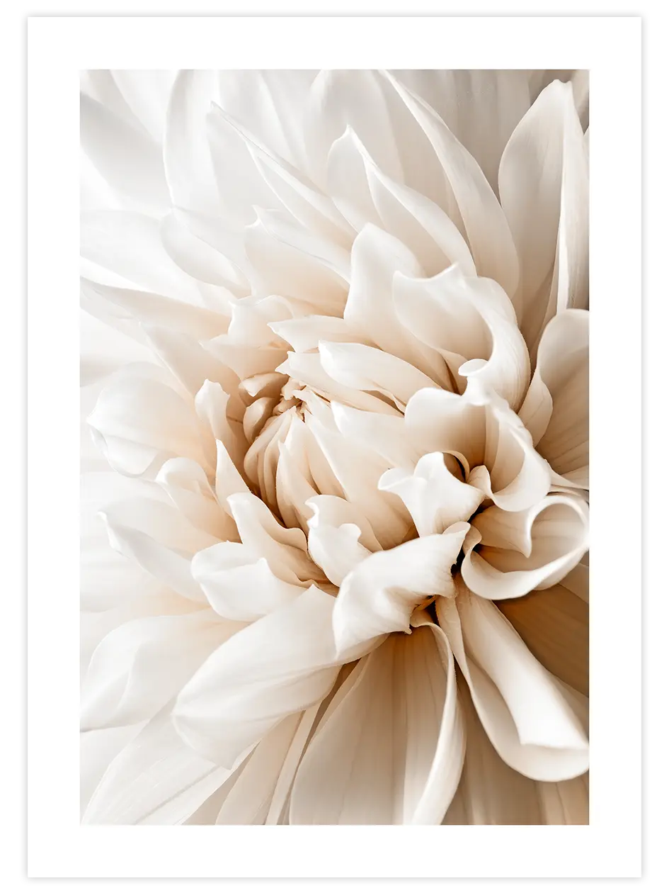 Art in Flower - Art Print