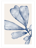 Blue Leaves N3 - Art Print