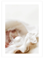 Pearl - Art Print