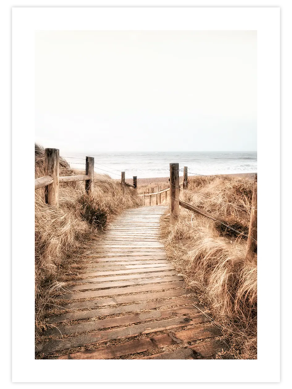 Camino - Art Print Fotoğraflar Poster