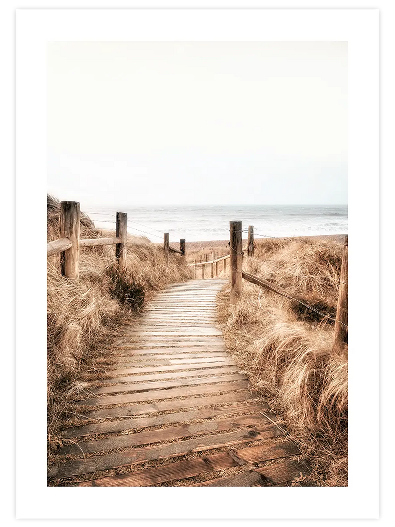 Camino - Art Print Fotoğraflar Poster