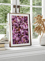 Safran - Art Print