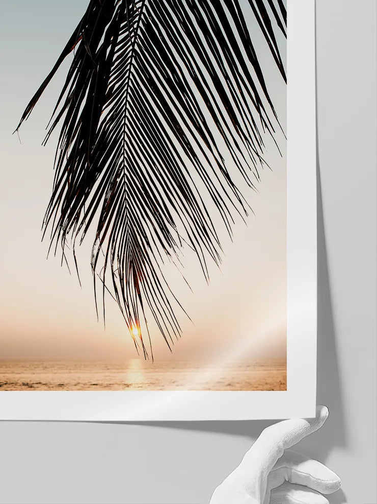 Soleil sous les Palmes – Art Print