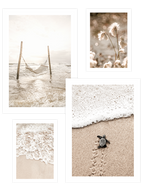 Elegance Beige Poster Seti