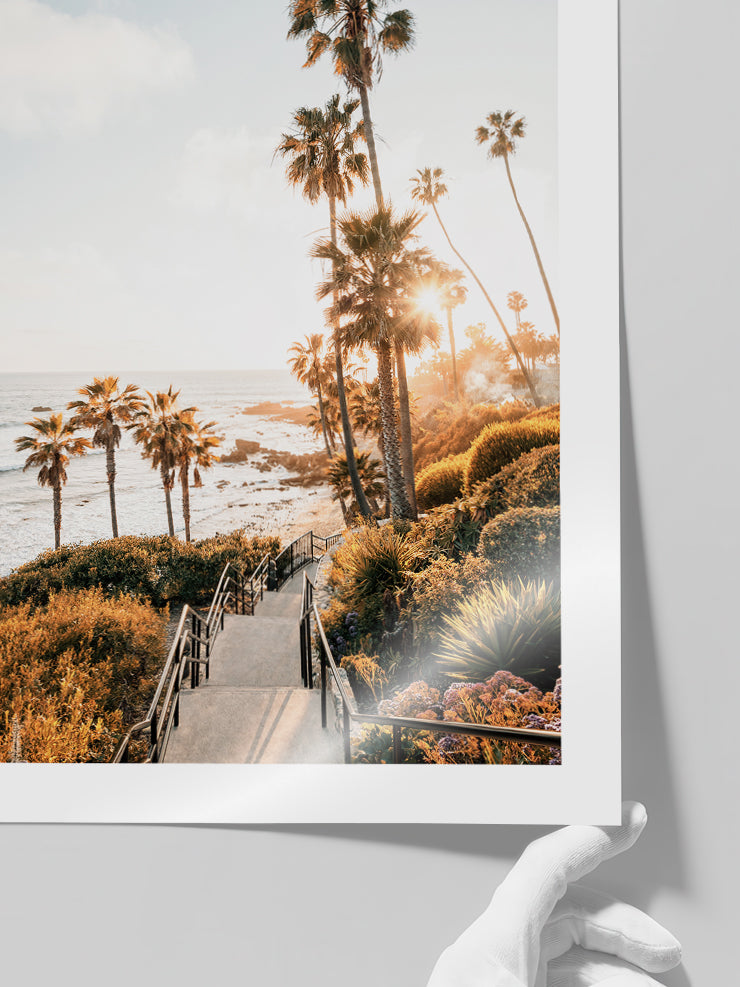 Palmiye Manzarası - Art Print