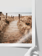 Camino - Art Print