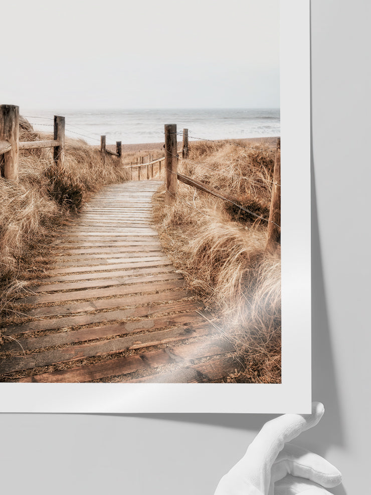 Camino - Art Print  Poster