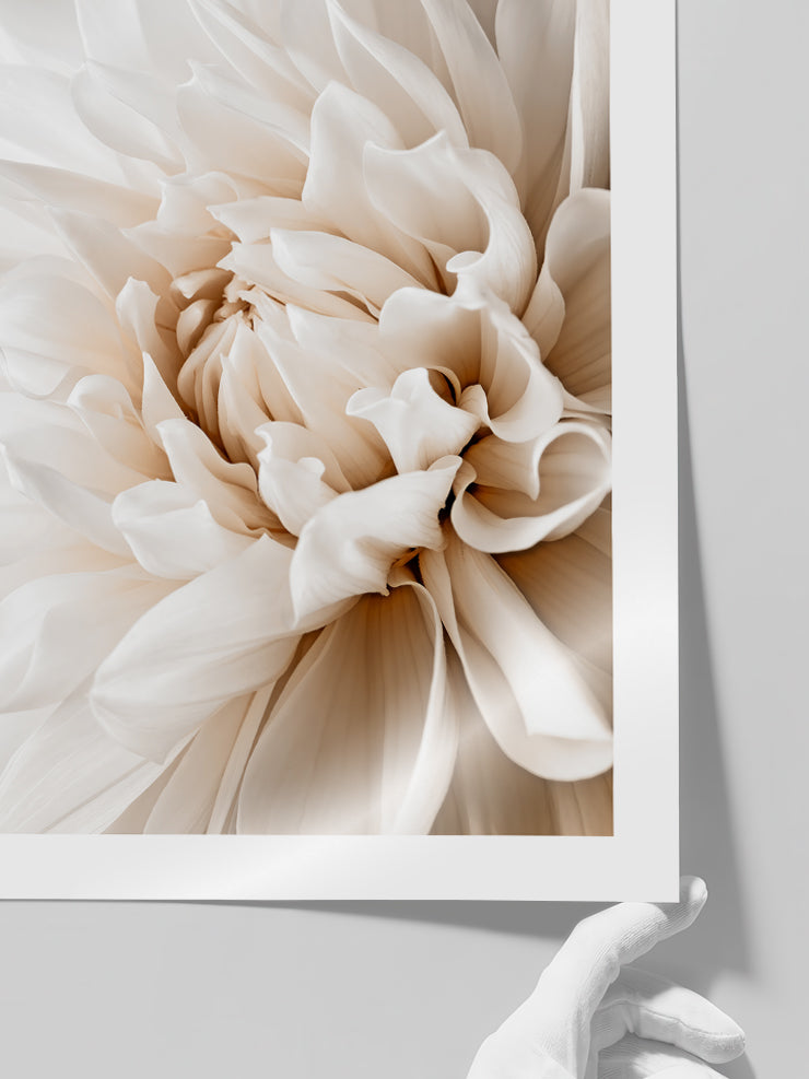 Art in Flower - Art Print  Poster