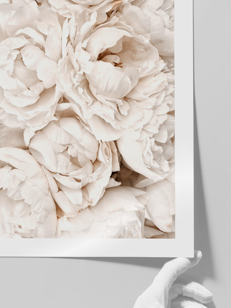 Beige Ensemble - Art Print  Poster