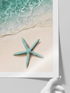 Yeşil Deniz Yıldızı - Art Print