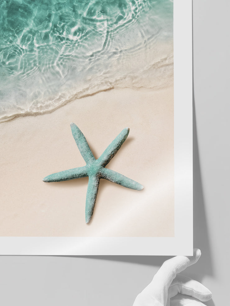 Yeşil Deniz Yıldızı - Art Print