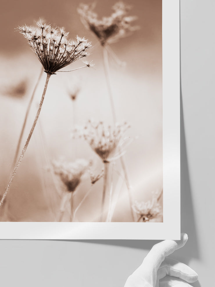 A Sweet Morning - Art Print  Poster