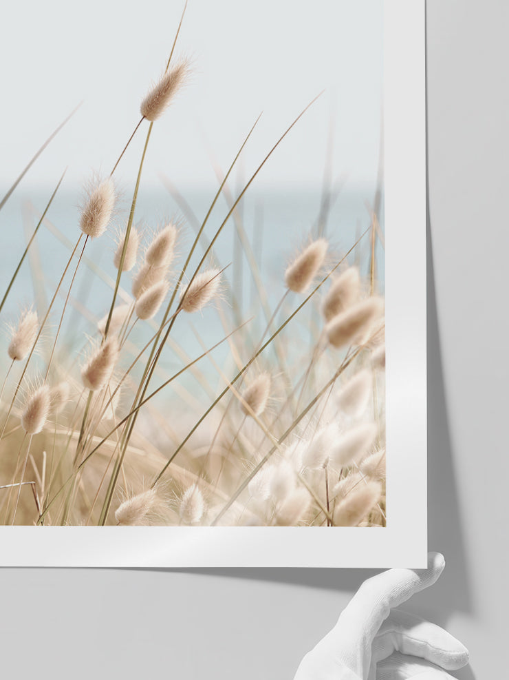 Tavşan Kuyruğu - Art Print