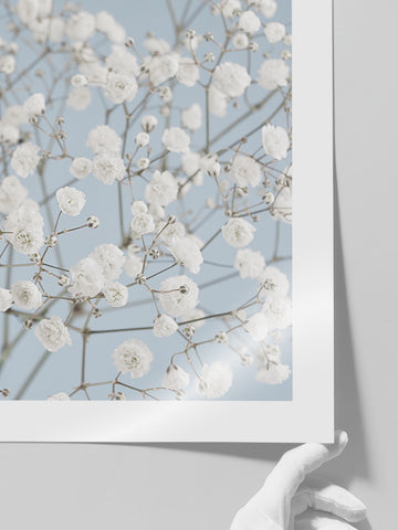 Douceur - Art Print