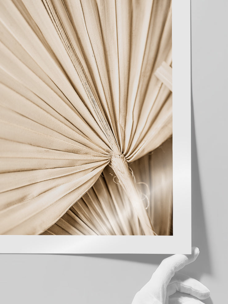 Bej Palmiye Yaprakları N2 - Art Print