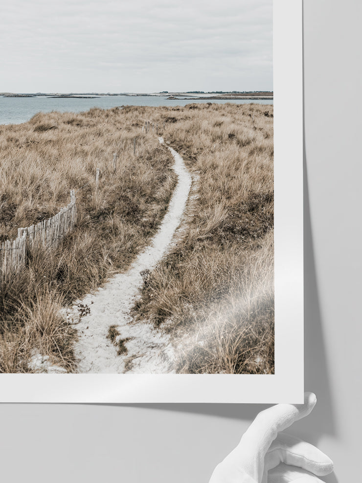 Patika - Art Print  Poster