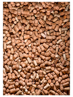 Şarap Mantarları N2 - Art Print