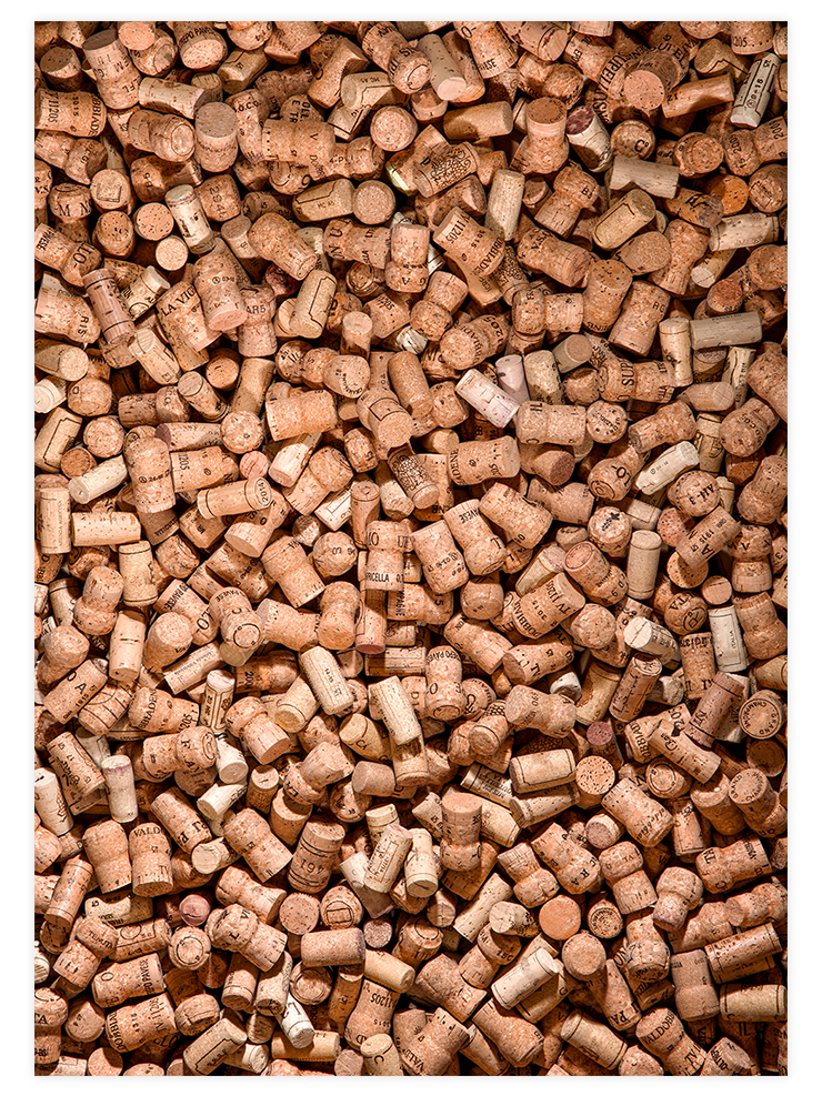 Şarap Mantarları N2 - Art Print