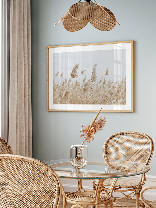 Saz Püskülü - Fine Art Poster