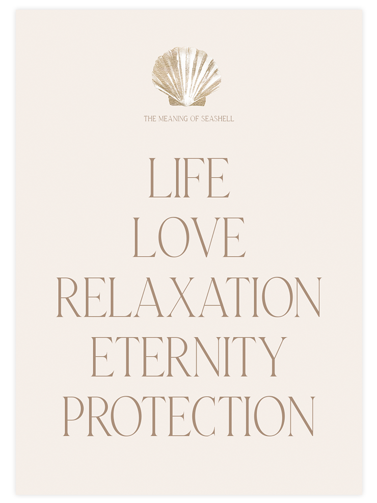 The Meaning of Seashell - Art Print