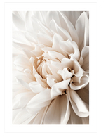 Beige Mood Poster Seti