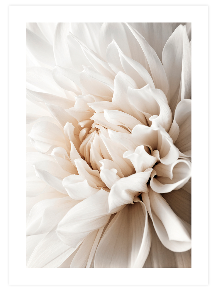 Beige Mood Poster Seti