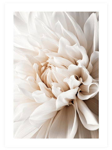 Beige Mood Poster Seti