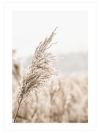 Beige Mood Poster Seti