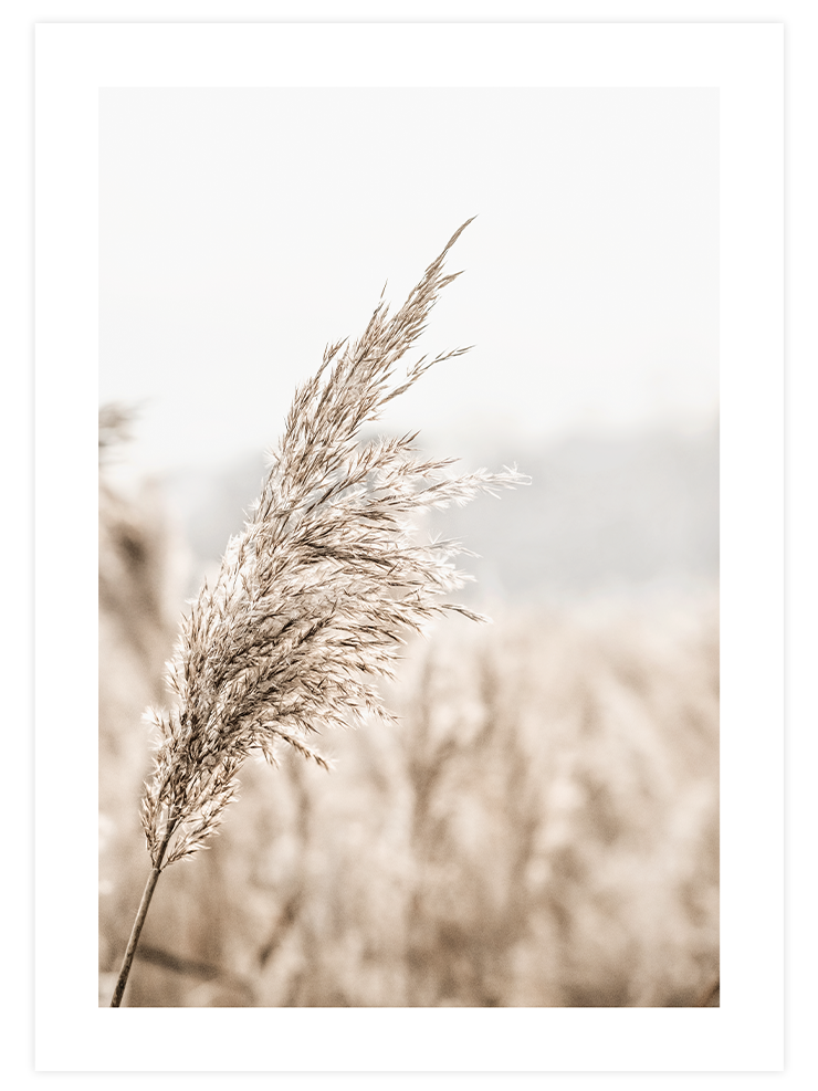 Calming & Relaxing Poster Seti  Poster