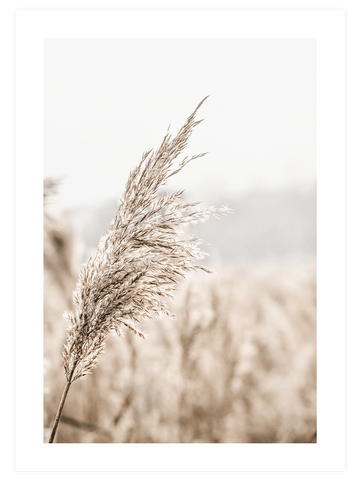 Beige Mood Poster Seti